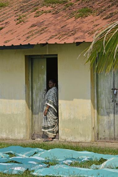 Public Laundry, Cochin_DSC6090_H600